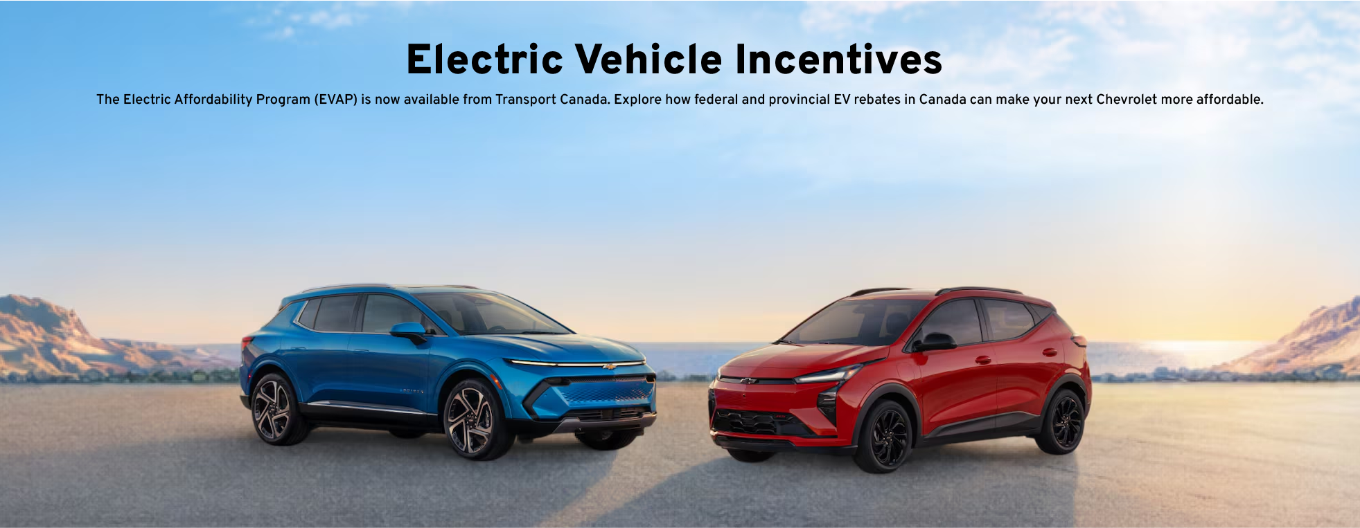 Electric Vehicle Incentives
