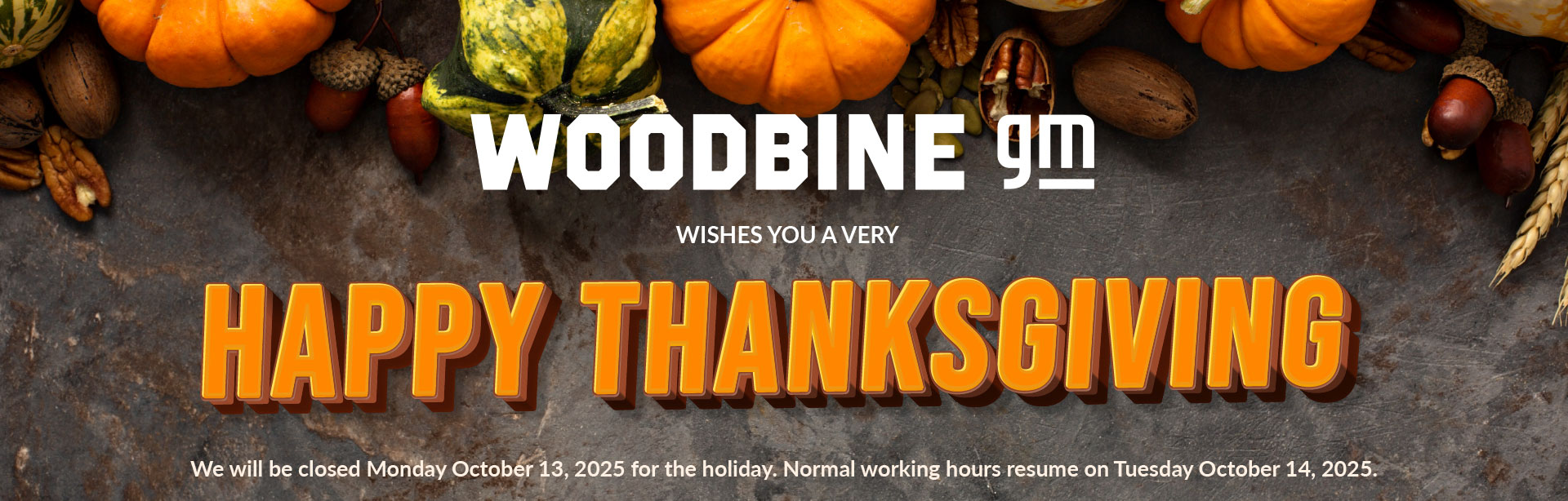 Thanksgiving2025-WGM-01 slider_widget-1-6