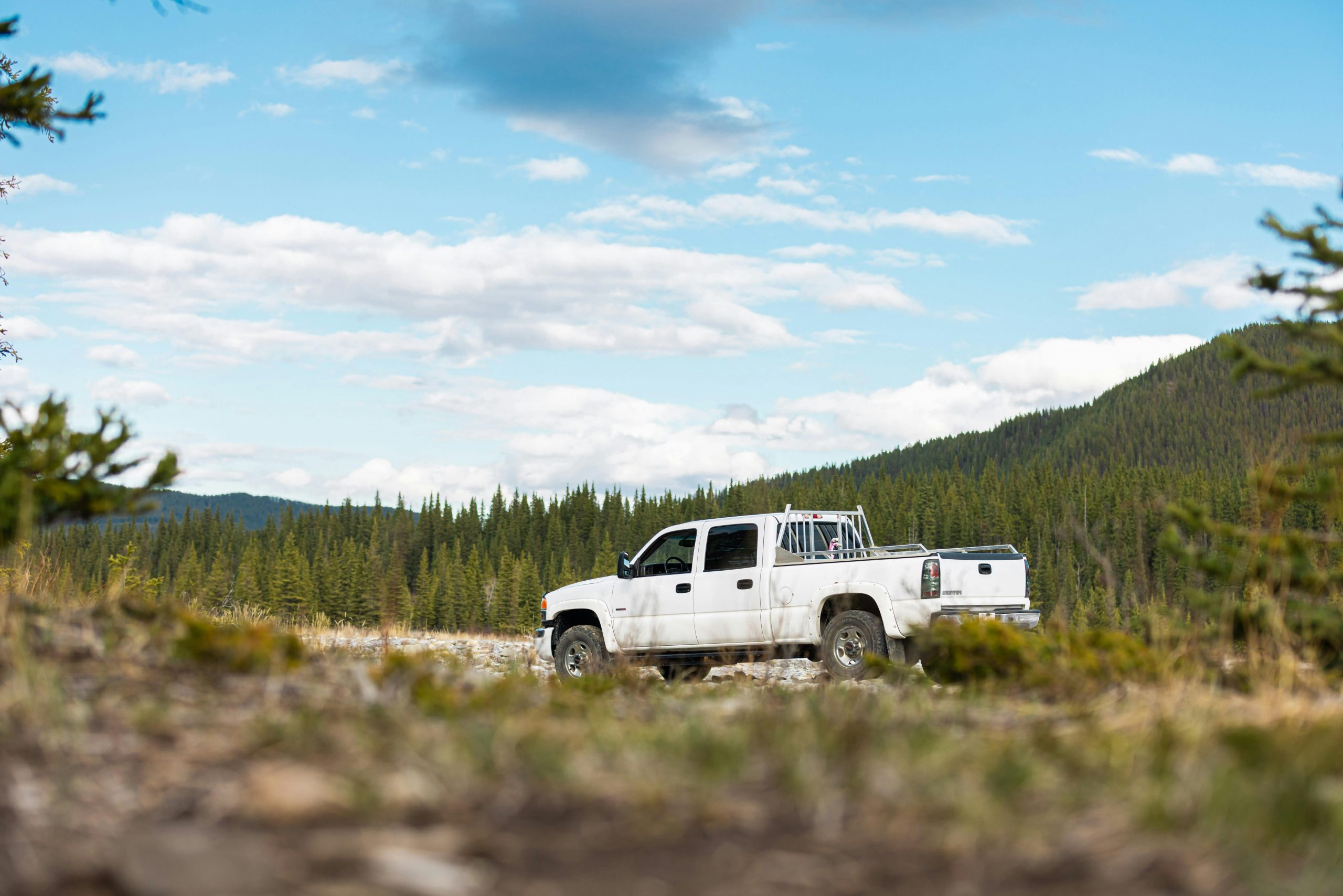 A GMC Sierra parked in a forested area