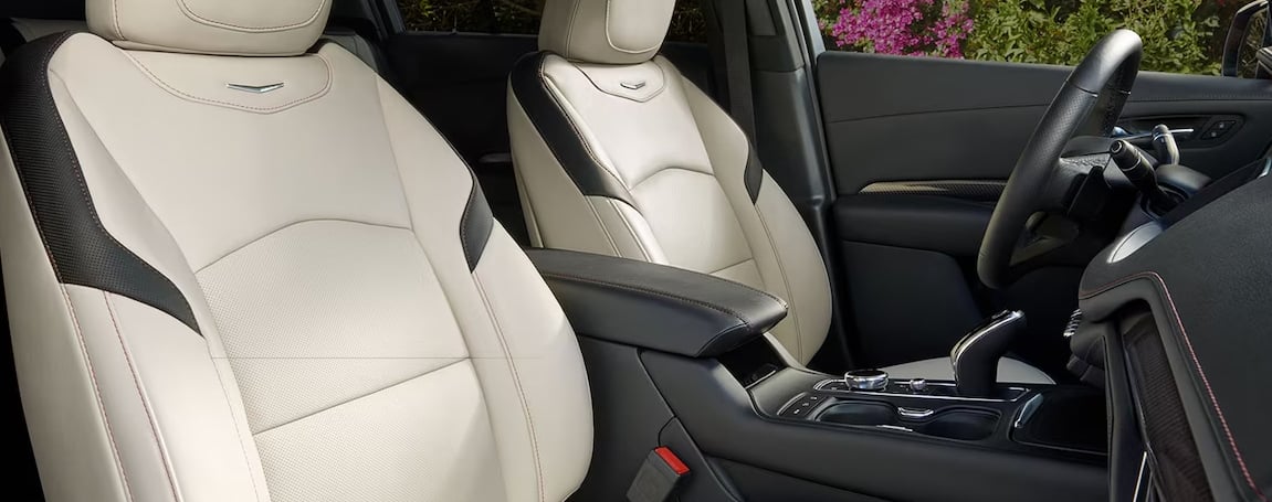 Interior Layout and Options