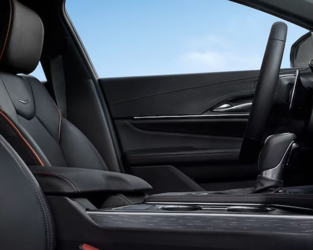 Leather interior