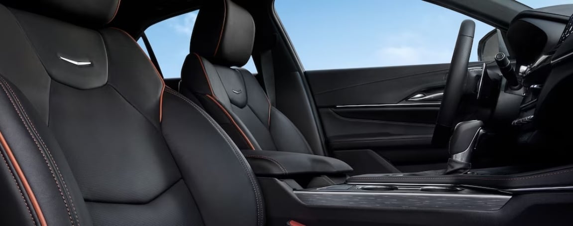 Interior Layout and Options