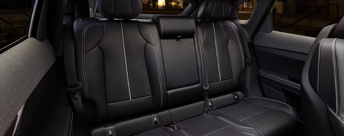 Interior Comfort and Cargo Space