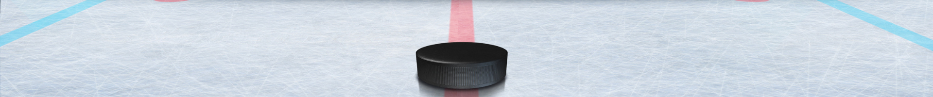 puck on hockey rink