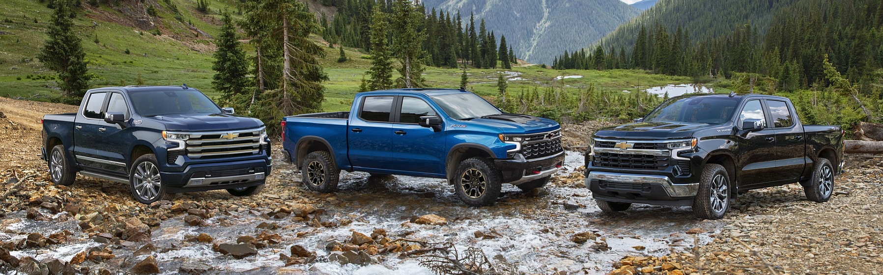 2022 Chevrolet Silverado 1500 in Olds, AB